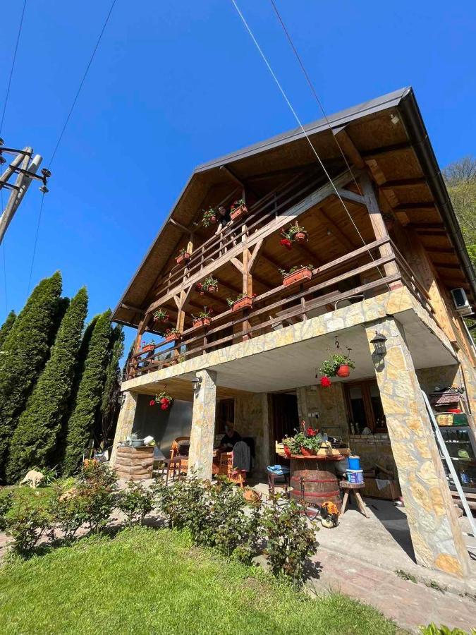 Apartman "Kapetana Luka" Ljubovija Exteriér fotografie